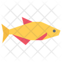 پیش‌نمایش فایل fish-5918956 از پک ماهی
