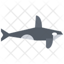پیش‌نمایش فایل killer-whale-5918959 از پک ماهی