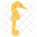 پیش‌نمایش فایل sea-horse-5918922 از پک ماهی