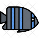 پیش‌نمایش فایل aquatic-animal-5918835 از پک ماهی
