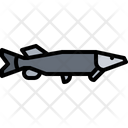 پیش‌نمایش فایل aquatic-animal-5918859 از پک ماهی