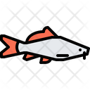 پیش‌نمایش فایل catfish-5918850 از پک ماهی