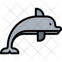 پیش‌نمایش فایل dolphin-5918824 از پک ماهی