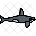 پیش‌نمایش فایل killer-whale-5918857 از پک ماهی