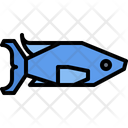 پیش‌نمایش فایل mullet-5918849 از پک ماهی