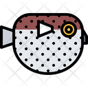 پیش‌نمایش فایل puffer-fish-5918853 از پک ماهی