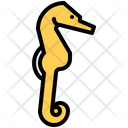 پیش‌نمایش فایل sea-horse-5918820 از پک ماهی