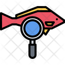 پیش‌نمایش فایل searching-fish-5919086 از پک غواصی
