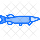 پیش‌نمایش فایل aquatic-animal-5918909 از پک ماهی