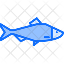 پیش‌نمایش فایل fish-5918888 از پک ماهی