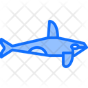 پیش‌نمایش فایل killer-whale-5918907 از پک ماهی