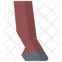 پیش‌نمایش فایل horse-leg-5918108 از پک اصطبل