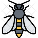 پیش‌نمایش فایل bee-5923772 از پک حشرات