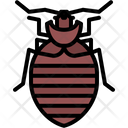 پیش‌نمایش فایل beetle-5923785 از پک حشرات
