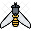پیش‌نمایش فایل beetle-5923803 از پک حشرات