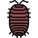 پیش‌نمایش فایل beetle-5923804 از پک حشرات