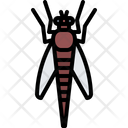 پیش‌نمایش فایل beetle-5923807 از پک حشرات