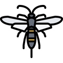 پیش‌نمایش فایل beetle-5923813 از پک حشرات