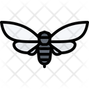 پیش‌نمایش فایل beetle-5923814 از پک حشرات