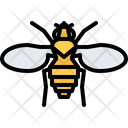 پیش‌نمایش فایل beetle-5923815 از پک حشرات