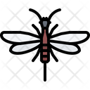 پیش‌نمایش فایل beetle-5923816 از پک حشرات