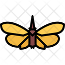 پیش‌نمایش فایل beetle-5923817 از پک حشرات