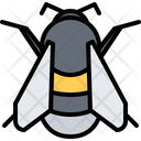 پیش‌نمایش فایل bumblebee-5923773 از پک حشرات