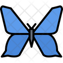 پیش‌نمایش فایل butterfly-5923779 از پک حشرات
