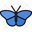 پیش‌نمایش فایل butterfly-5923787 از پک حشرات