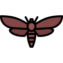 پیش‌نمایش فایل butterfly-5923788 از پک حشرات