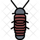 پیش‌نمایش فایل cockroach-5923771 از پک حشرات