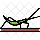 پیش‌نمایش فایل grasshopper-5923808 از پک حشرات