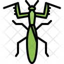 پیش‌نمایش فایل mantis-5923774 از پک حشرات