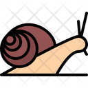 پیش‌نمایش فایل snail-5923799 از پک حشرات