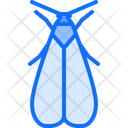 پیش‌نمایش فایل beetle-5923886 از پک حشرات