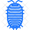 پیش‌نمایش فایل beetle-5923889 از پک حشرات