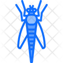 پیش‌نمایش فایل beetle-5923892 از پک حشرات