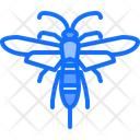 پیش‌نمایش فایل beetle-5923898 از پک حشرات