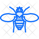 پیش‌نمایش فایل beetle-5923900 از پک حشرات