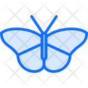 پیش‌نمایش فایل butterfly-5923872 از پک حشرات