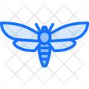 پیش‌نمایش فایل butterfly-5923873 از پک حشرات