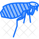 پیش‌نمایش فایل flea-5923868 از پک حشرات