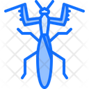 پیش‌نمایش فایل mantis-5923859 از پک حشرات