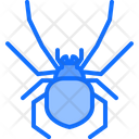 پیش‌نمایش فایل spider-5923879 از پک حشرات