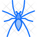 پیش‌نمایش فایل spider-5923880 از پک حشرات