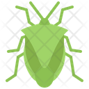 پیش‌نمایش فایل beetle-5923919 از پک حشرات