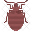 پیش‌نمایش فایل beetle-5923920 از پک حشرات