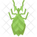 پیش‌نمایش فایل beetle-5923925 از پک حشرات