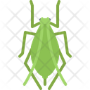 پیش‌نمایش فایل beetle-5923935 از پک حشرات