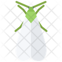 پیش‌نمایش فایل beetle-5923936 از پک حشرات
